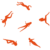 VELLOZZO